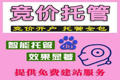 SEM代运营成功案例：打造行业领先品牌